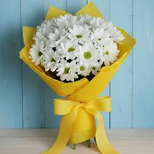 Букет цветов из:  Хризантемы в Нижнее Хорошово