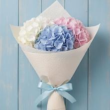 Букет цветов из:  Гортензия в Нижнее Хорошово