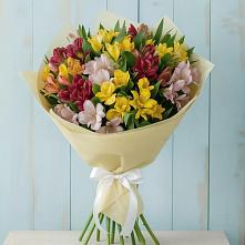 Букет цветов из:  Альстромерии в Нижнее Хорошово