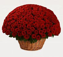 Премиум букет из: Розы в Нижнее Хорошово