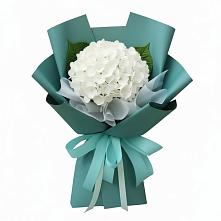 Букет цветов из:  Гортензия в Нижнее Хорошово